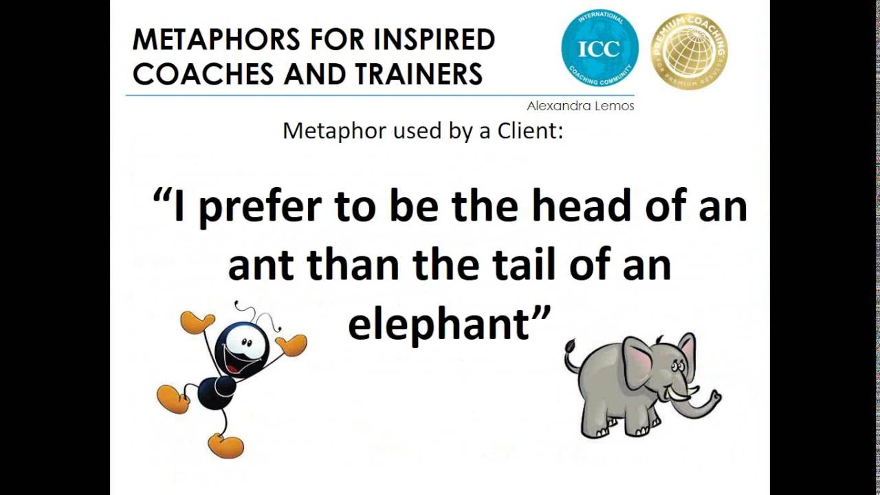 2016 08 15 13 03 Metaphors For Inspired Coaches And 