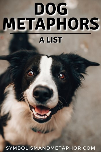 24 Dog Metaphors Similes And Idioms That Pop 2021 
