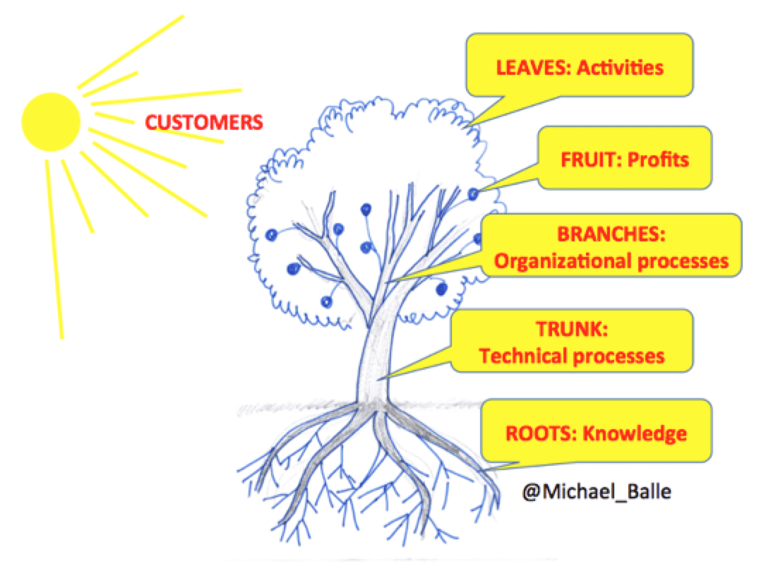 An Organic Metaphor Of The Organization To Truly Grasp 