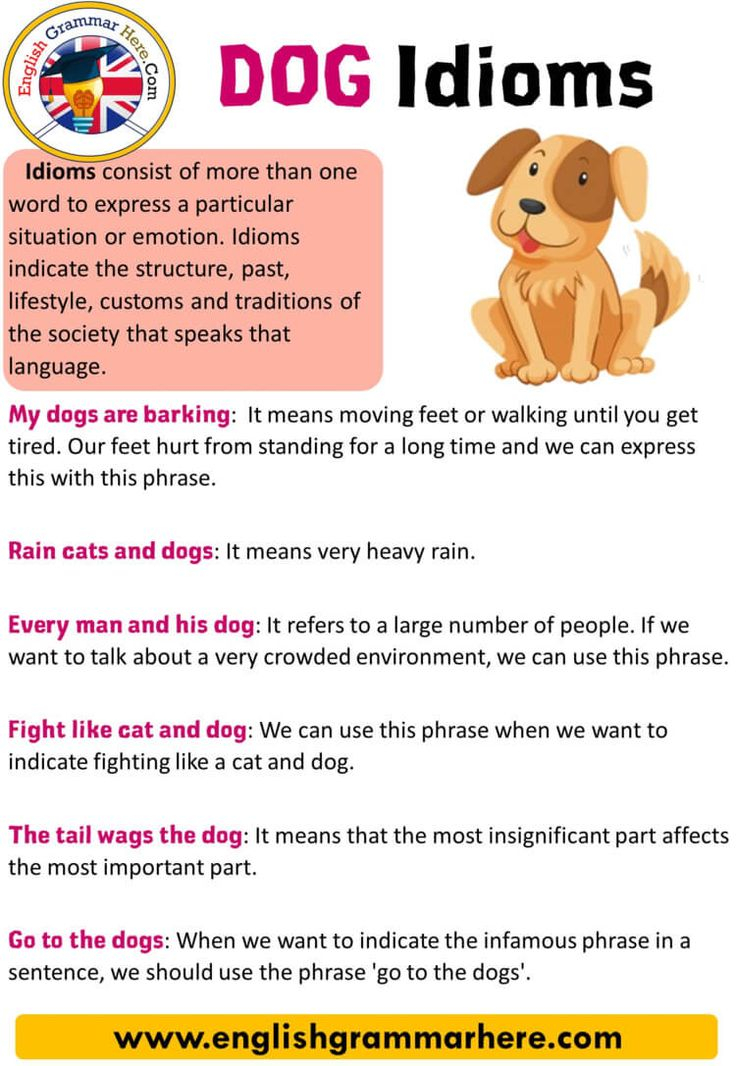 English Dog Idioms Definition And Examples Dog Idioms 