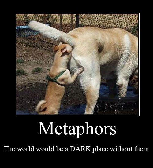 Funny Metaphors Quotes QuotesGram