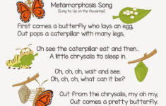 Metamorphosis Preschool Songs Insects Preschool