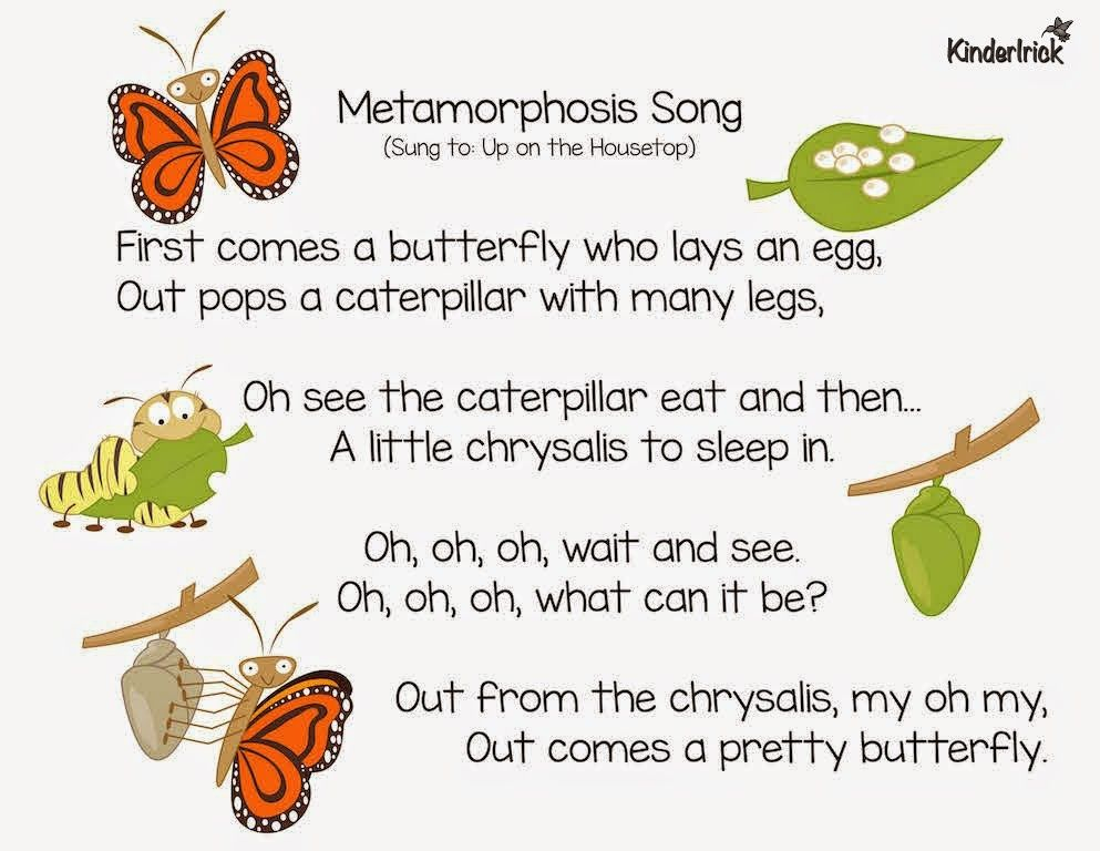 Metamorphosis Preschool Songs Insects Preschool 