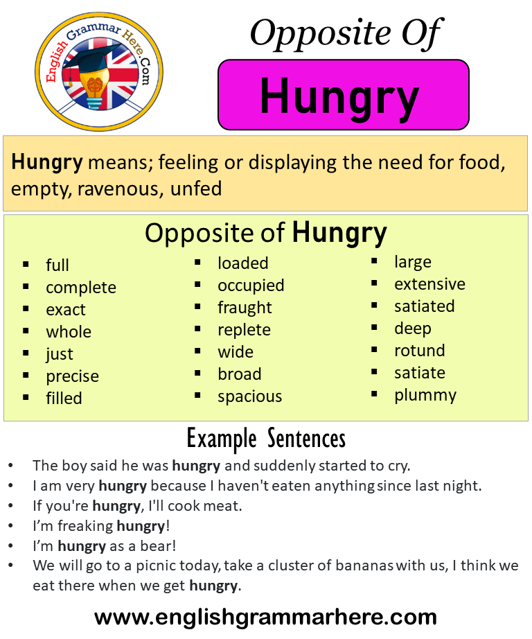 Opposite Of Hungry Antonyms Of Hungry Meaning And 