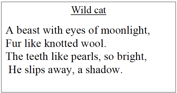  Wild Cat Analysing Metaphors And Similes Wild Cats 